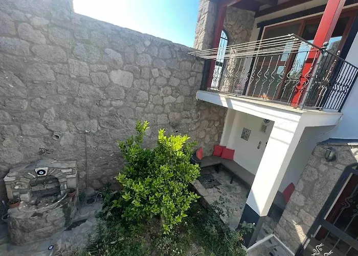 Chanel * 博德鲁姆